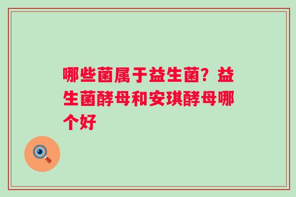 哪些菌属于益生菌？益生菌酵母和安琪酵母哪个好