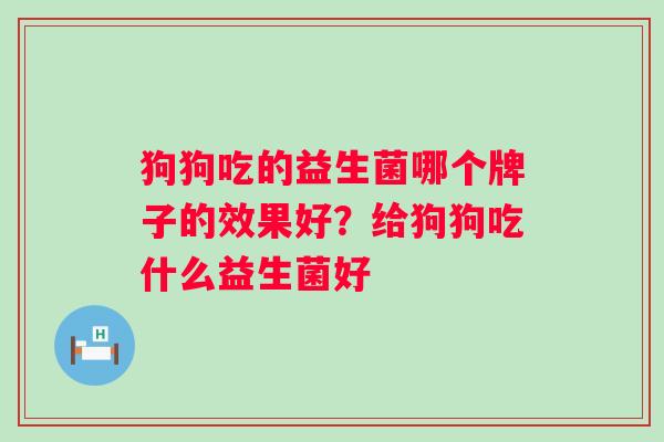 狗狗吃的益生菌哪个牌子的效果好？给狗狗吃什么益生菌好