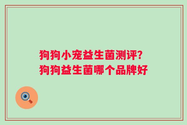 狗狗小宠益生菌测评？狗狗益生菌哪个品牌好