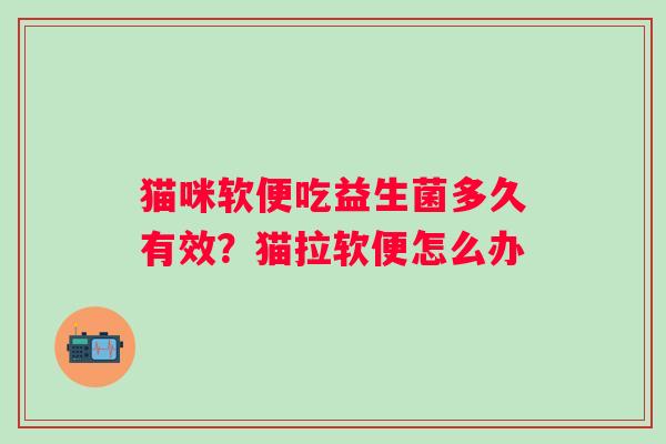猫咪软便吃益生菌多久有效？猫拉软便怎么办