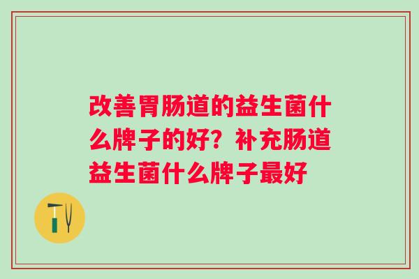 改善道的益生菌什么牌子的好？补充肠道益生菌什么牌子好