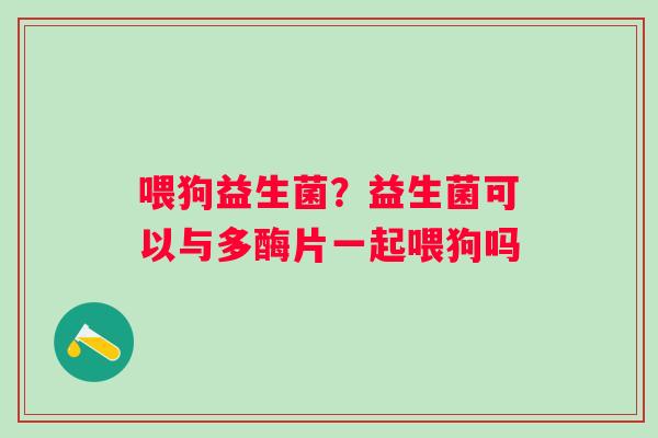 喂狗益生菌？益生菌可以与多酶片一起喂狗吗