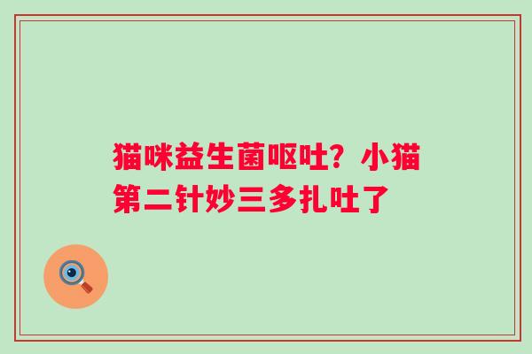 猫咪益生菌呕吐？小猫第二针妙三多扎吐了