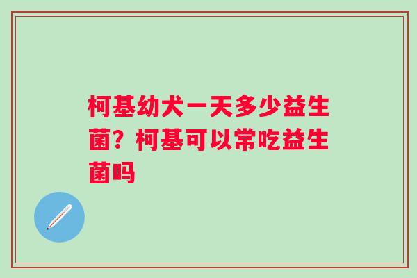 柯基幼犬一天多少益生菌?柯基可以常吃益生菌吗 柯基幼犬一天多少益生菌?柯基可以常吃益生菌吗