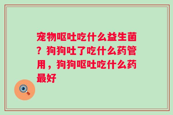 宠物呕吐吃什么益生菌？狗狗吐了吃什么药管用，狗狗呕吐吃什么药最好