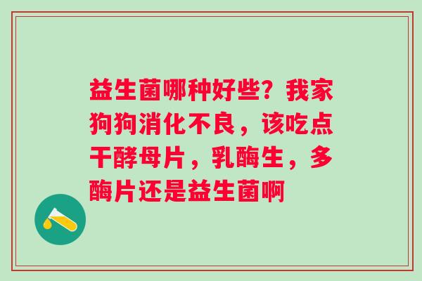 益生菌哪种好些？我家狗狗消化不良，该吃点干酵母片，乳酶生，多酶片还是益生菌啊