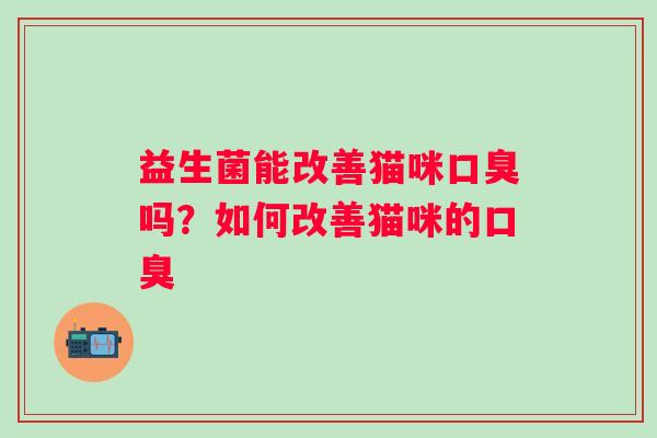 益生菌能改善猫咪吗？如何改善猫咪的