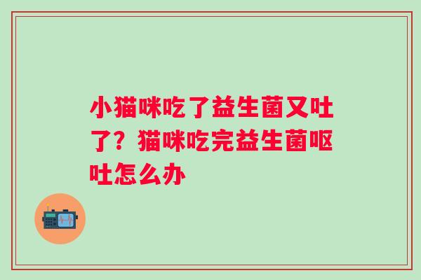小猫咪吃了益生菌又吐了？猫咪吃完益生菌呕吐怎么办