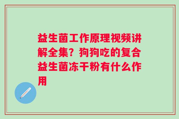 益生菌工作原理视频讲解全集？狗狗吃的复合益生菌冻干粉有什么作用
