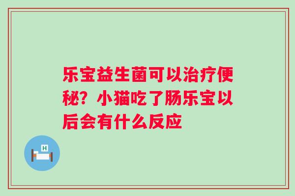 乐宝益生菌可以治疗便秘？小猫吃了肠乐宝以后会有什么反应