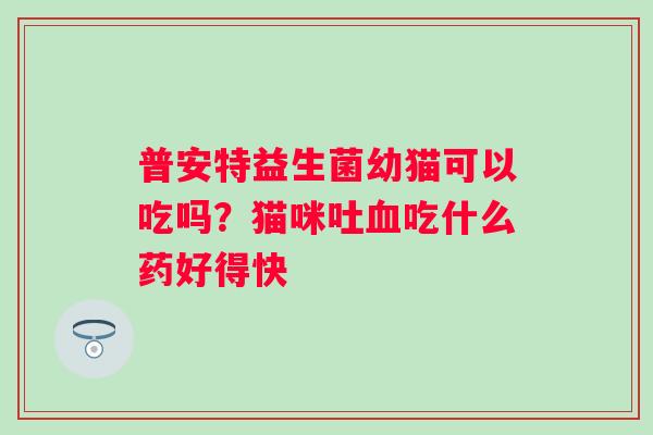 普安特益生菌幼猫可以吃吗？猫咪吐血吃什么药好得快