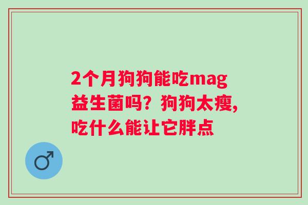 2个月狗狗能吃mag益生菌吗？狗狗太瘦,吃什么能让它胖点