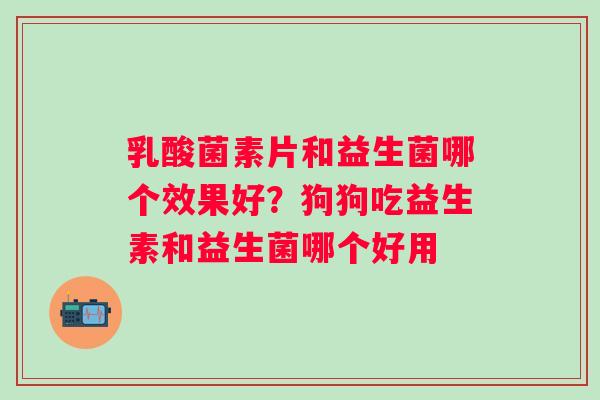 乳酸菌素片和益生菌哪个效果好？狗狗吃益生素和益生菌哪个好用