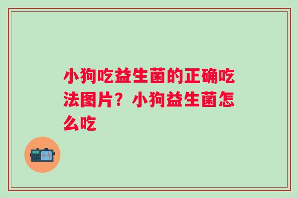 小狗吃益生菌的正确吃法图片？小狗益生菌怎么吃
