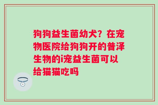 狗狗益生菌幼犬？在宠物医院给狗狗开的普泽生物的i宠益生菌可以给猫猫吃吗