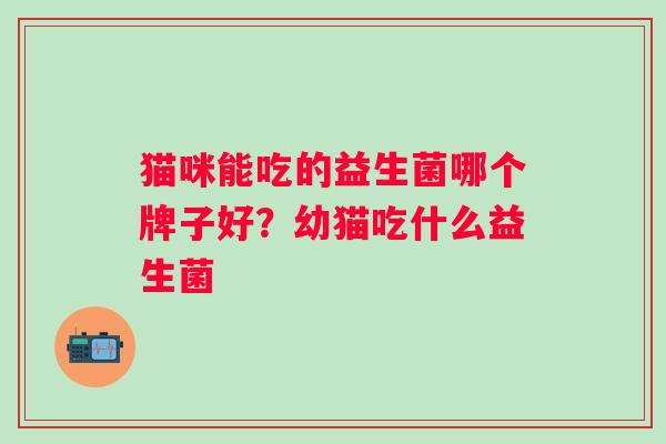 猫咪能吃的益生菌哪个牌子好？幼猫吃什么益生菌
