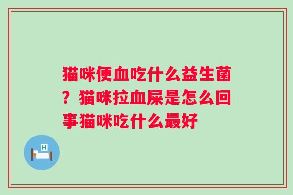 猫咪便血吃什么益生菌？猫咪拉血屎是怎么回事猫咪吃什么最好