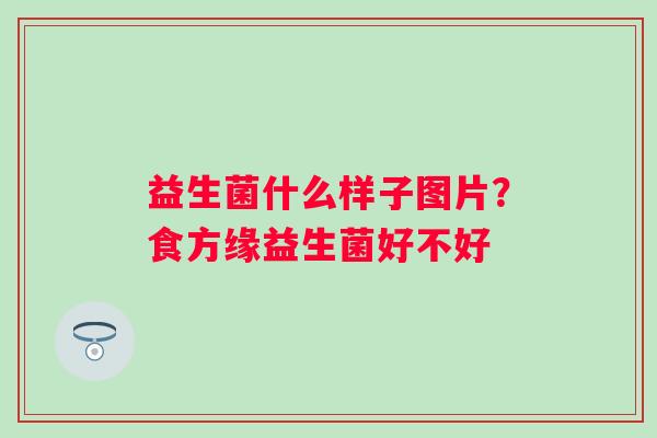 益生菌什么样子图片？食方缘益生菌好不好