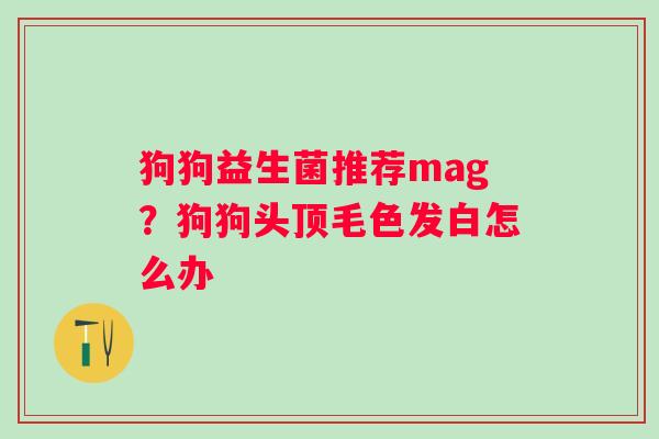 狗狗益生菌推荐mag？狗狗头顶毛色发白怎么办