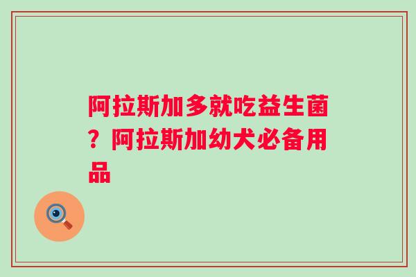 阿拉斯加多就吃益生菌？阿拉斯加幼犬必备用品