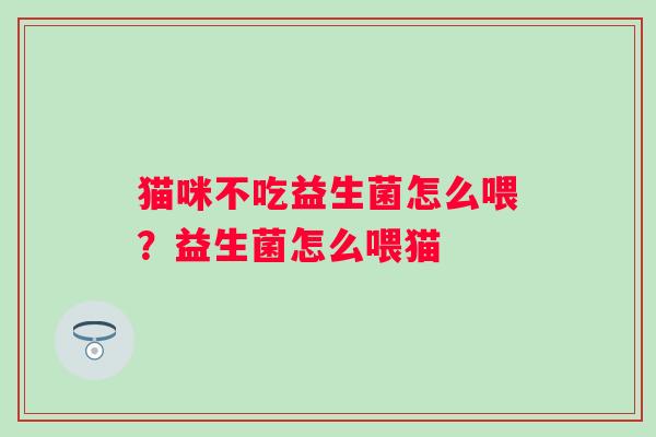 猫咪不吃益生菌怎么喂？益生菌怎么喂猫