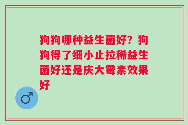 狗狗哪种益生菌好？狗狗得了细小止拉稀益生菌好还是庆大霉素效果好