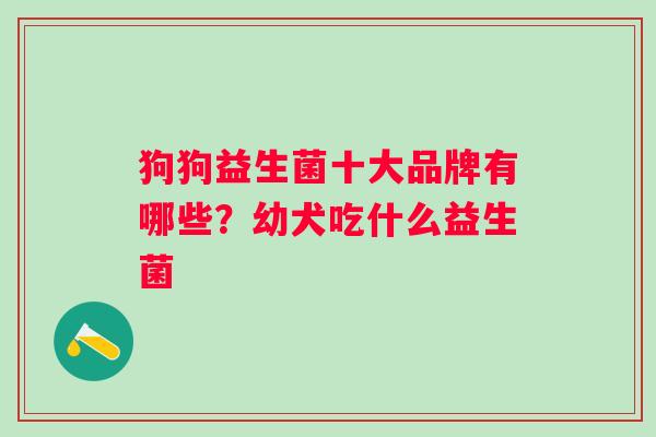 狗狗益生菌十大品牌有哪些？幼犬吃什么益生菌
