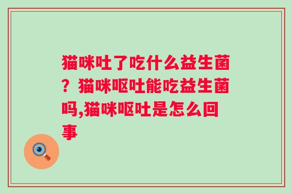 猫咪吐了吃什么益生菌？猫咪呕吐能吃益生菌吗,猫咪呕吐是怎么回事