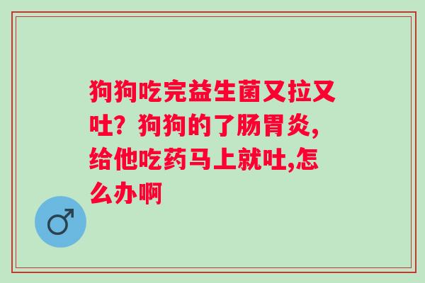 狗狗吃完益生菌又拉又吐？狗狗的了肠胃炎,给他吃药马上就吐,怎么办啊