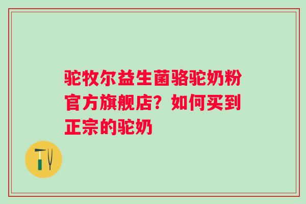 驼牧尔益生菌骆驼奶粉官方旗舰店？如何买到正宗的驼奶