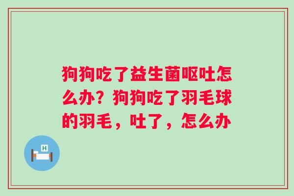 狗狗吃了益生菌怎么办？狗狗吃了羽毛球的羽毛，吐了，怎么办