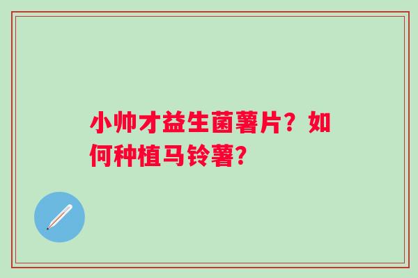 小帅才益生菌薯片？如何种植马铃薯？