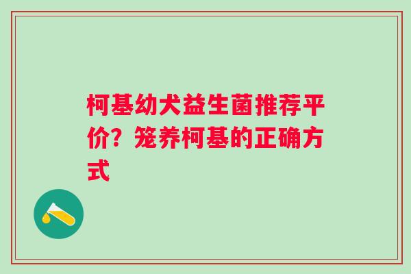 柯基幼犬益生菌推荐平价？笼养柯基的正确方式