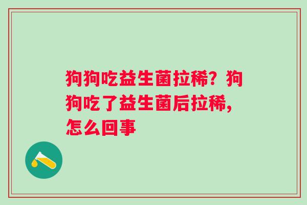 狗狗吃益生菌拉稀？狗狗吃了益生菌后拉稀,怎么回事
