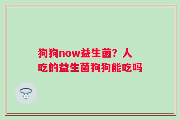 狗狗now益生菌？人吃的益生菌狗狗能吃吗