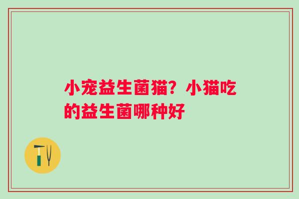 小宠益生菌猫？小猫吃的益生菌哪种好