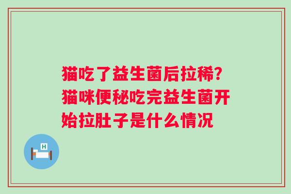 猫吃了益生菌后拉稀？猫咪便秘吃完益生菌开始拉肚子是什么情况