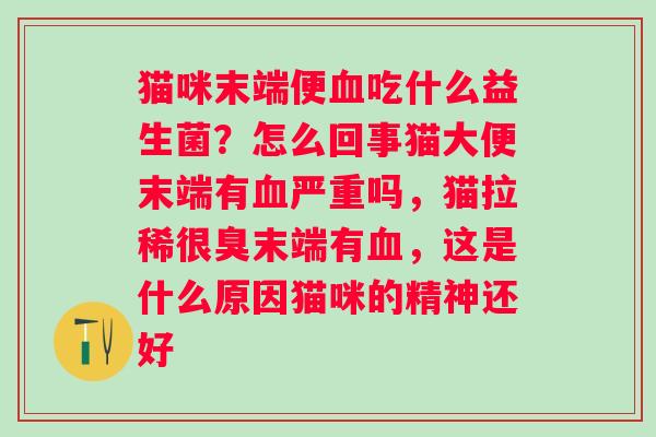 猫咪末端便血吃什么益生菌？怎么回事猫大便末端有血严重吗，猫拉稀很臭末端有血，这是什么原因猫咪的精神还好