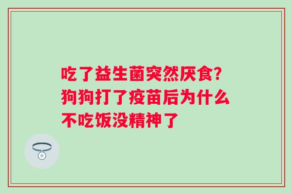 吃了益生菌突然厌食？狗狗打了疫苗后为什么不吃饭没精神了