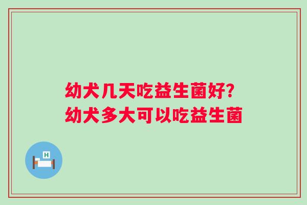 幼犬几天吃益生菌好？幼犬多大可以吃益生菌