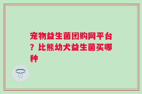 宠物益生菌团购网平台？比熊幼犬益生菌买哪种