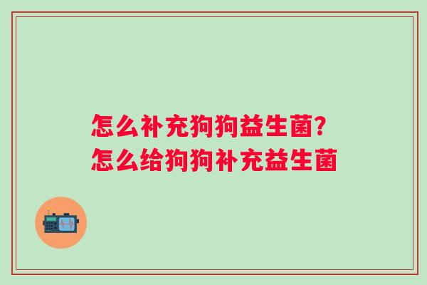 怎么补充狗狗益生菌?怎么给狗狗补充益生菌 怎么补充狗狗益生菌?怎么给狗狗补充益生菌