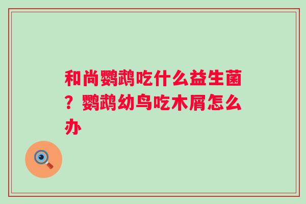 和尚鹦鹉吃什么益生菌？鹦鹉幼鸟吃木屑怎么办