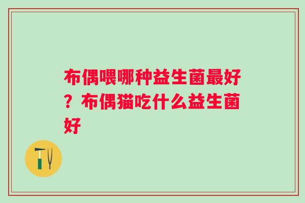 布偶喂哪种益生菌最好？布偶猫吃什么益生菌好