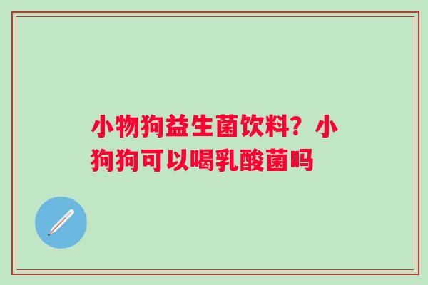 小物狗益生菌饮料？小狗狗可以喝乳酸菌吗