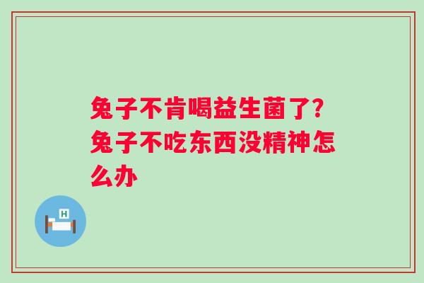 兔子不肯喝益生菌了？兔子不吃东西没精神怎么办