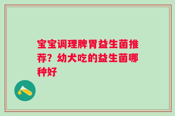 宝宝调理脾胃益生菌推荐？幼犬吃的益生菌哪种好