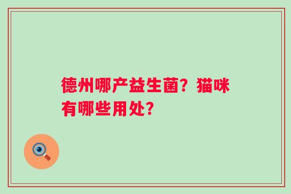 德州哪产益生菌？猫咪有哪些用处？