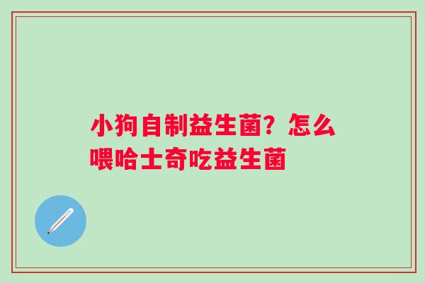 小狗自制益生菌？怎么喂哈士奇吃益生菌