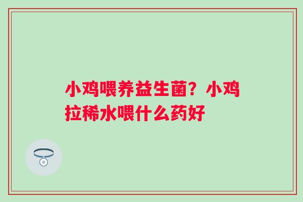 小鸡喂养益生菌？小鸡拉稀水喂什么药好